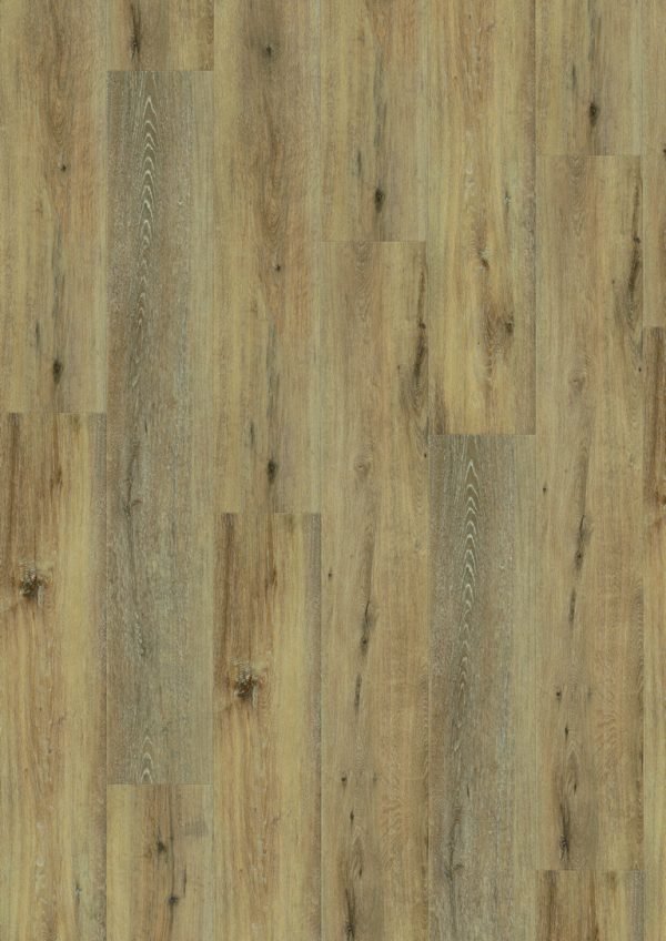 Joy Oak Tender