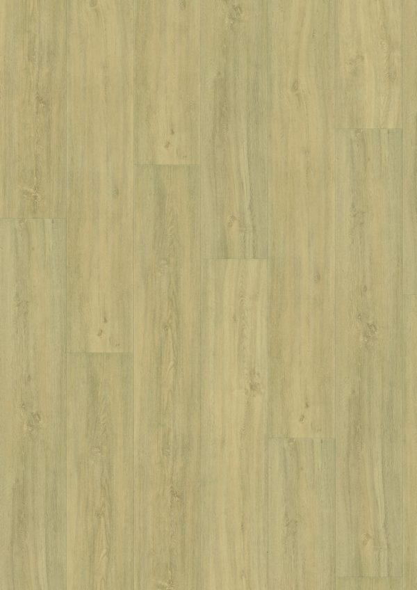 Kindness Oak Pure