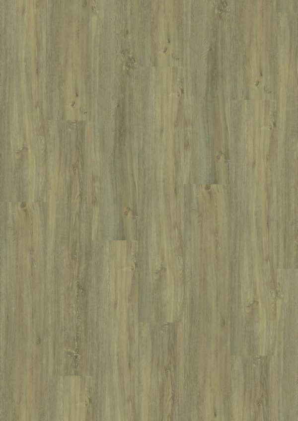 Paradise Oak Essential
